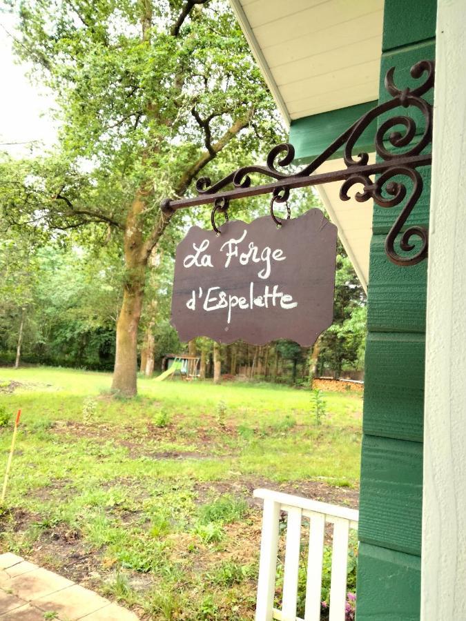 Vila La Forge D'Espelette-Le Hameau Secret Saint-Paul-lès-Dax Exteriér fotografie